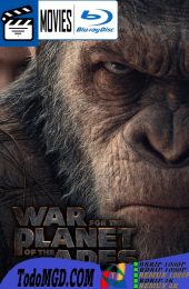 El Planeta de los Simios: La Guerra (2017) Latino – Ingles [Mega-Google Drive] [1080p-4K]